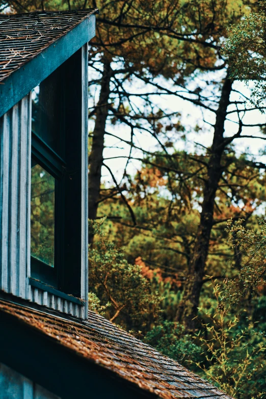 a window opened showing trees outside