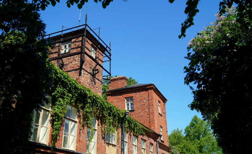 some ivy on top of a very big red brick building