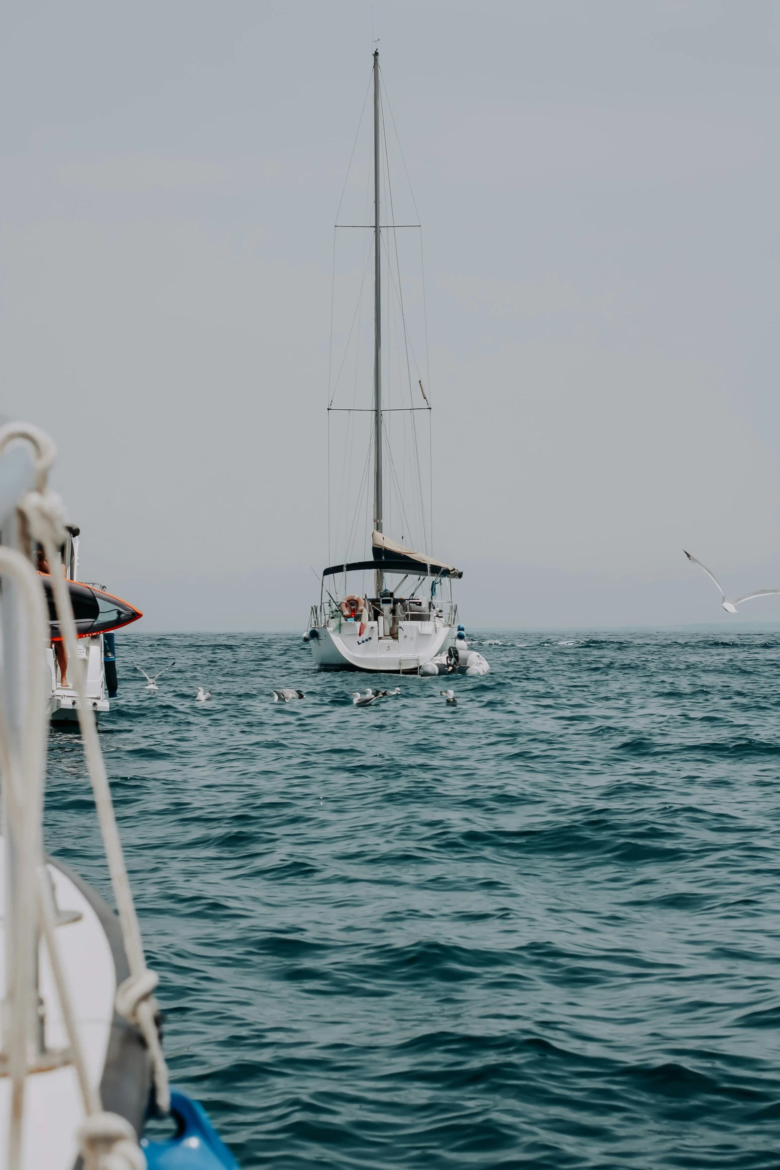 the white sailboat and a white boat are out on the water