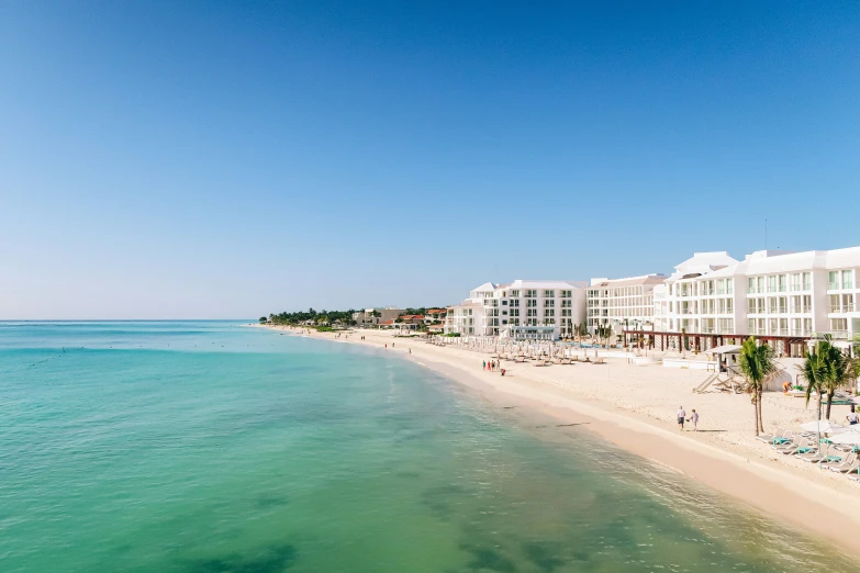 a sandy beach and ocean area with palm trees