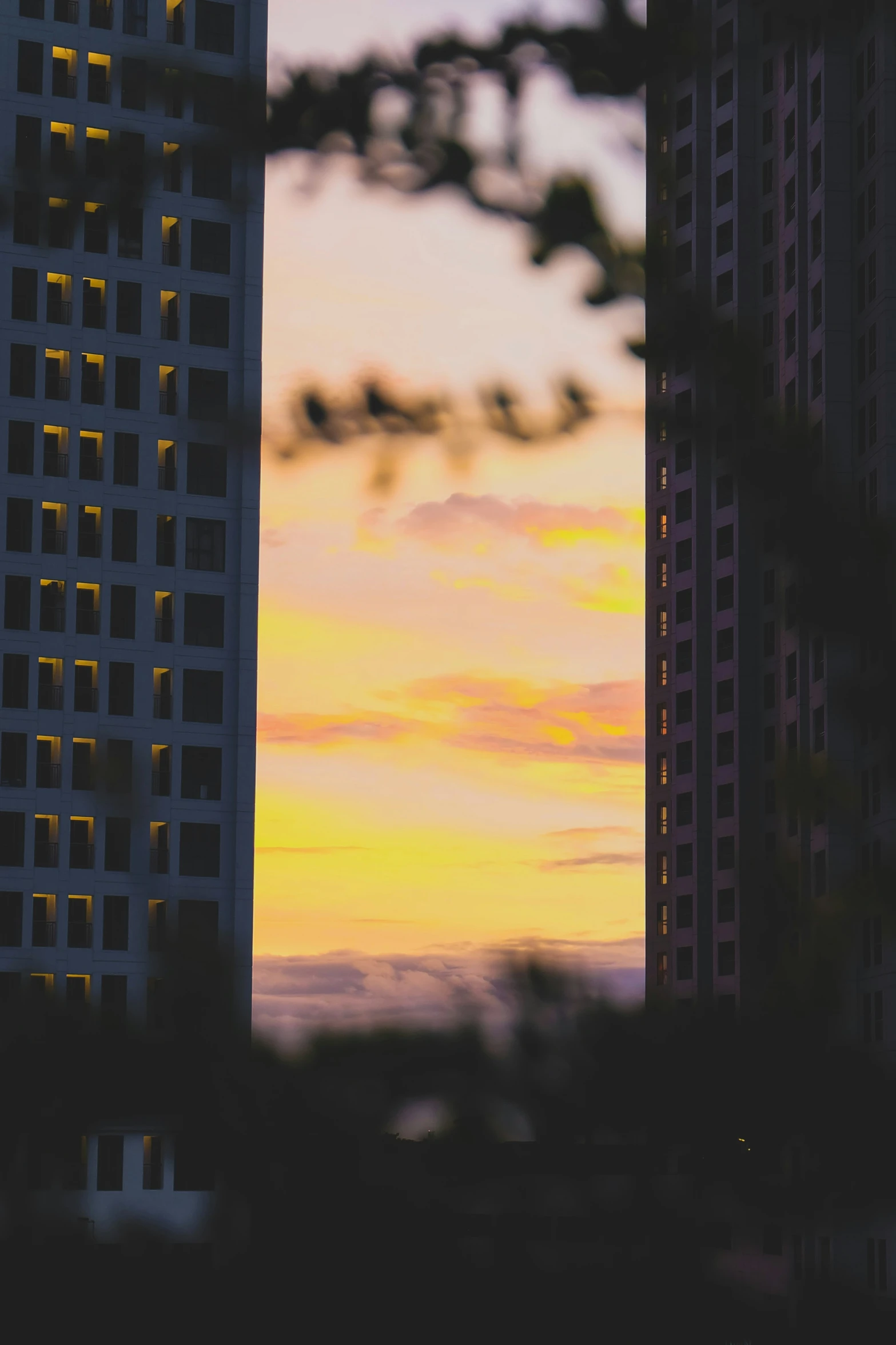 a beautiful sunset seen in a tall building with no lights