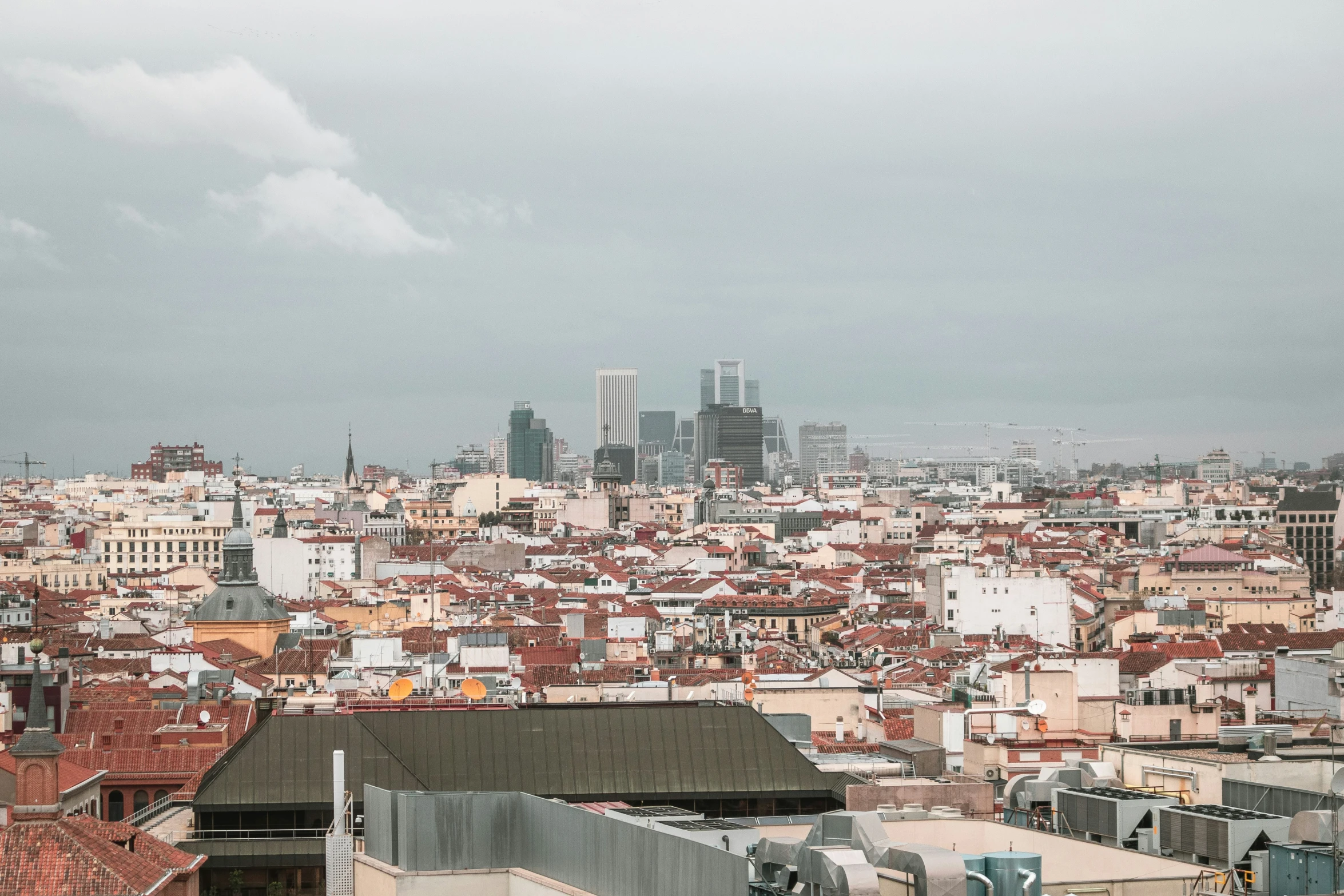 many rooftops are in the background in this picture