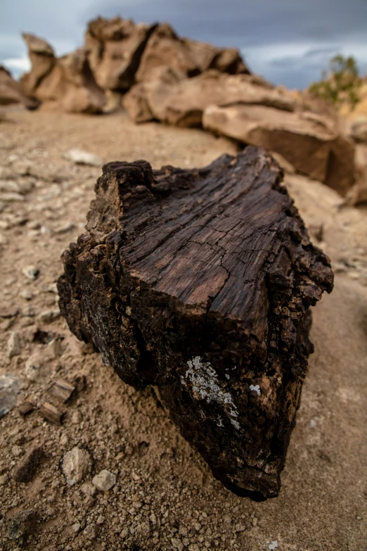 a tree log sitting on top of a dirt covered ground