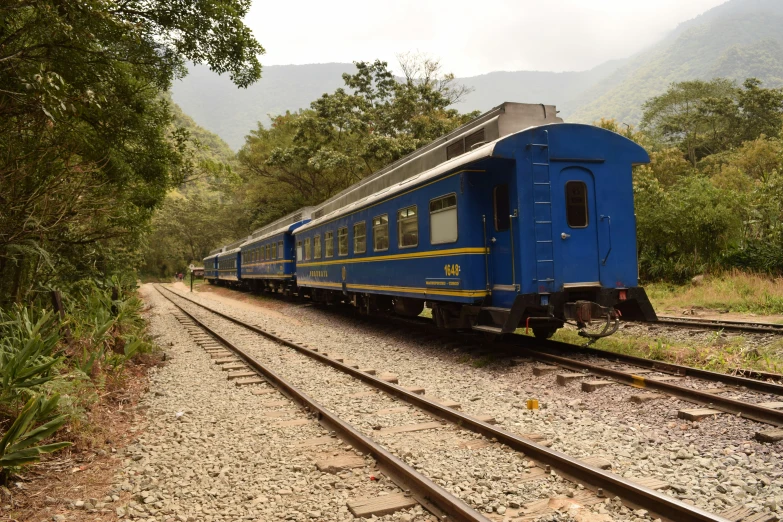 a train on the track with trees in the background