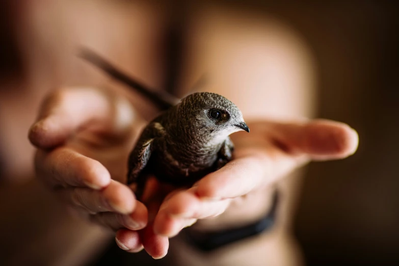 the small bird is in the woman's hands