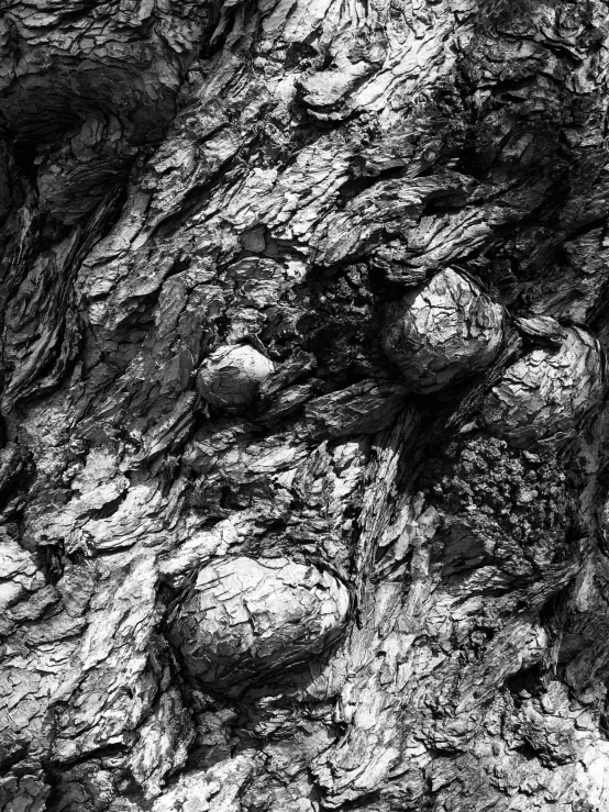 black and white pograph of rock texture