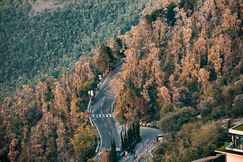 view of roadway on roadway surrounded by trees