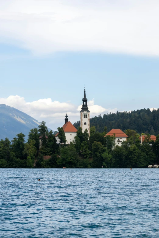 an island with houses is by the water