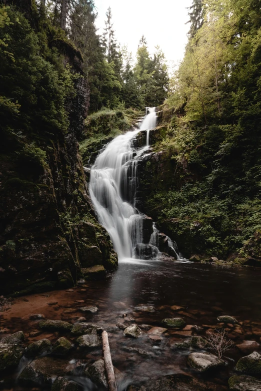 the waterfall is surrounded by green trees