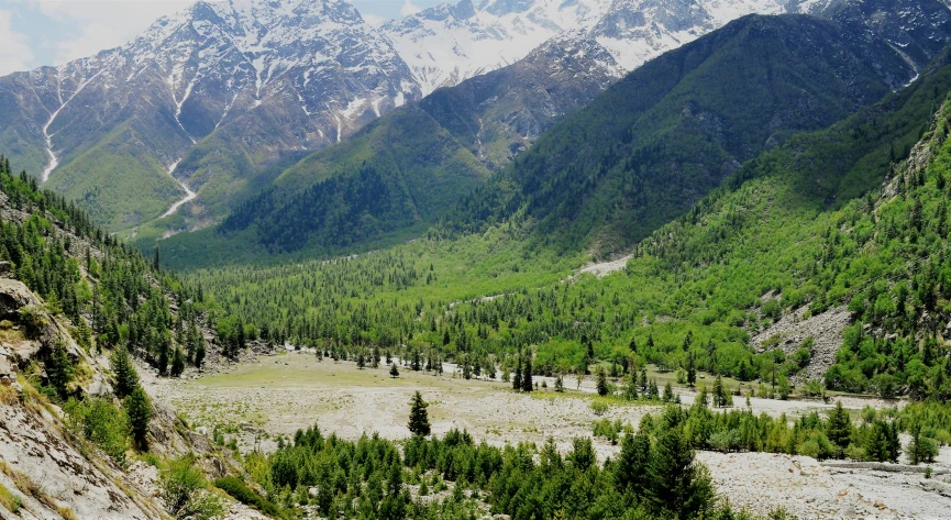 the mountains are very steep with some very green trees