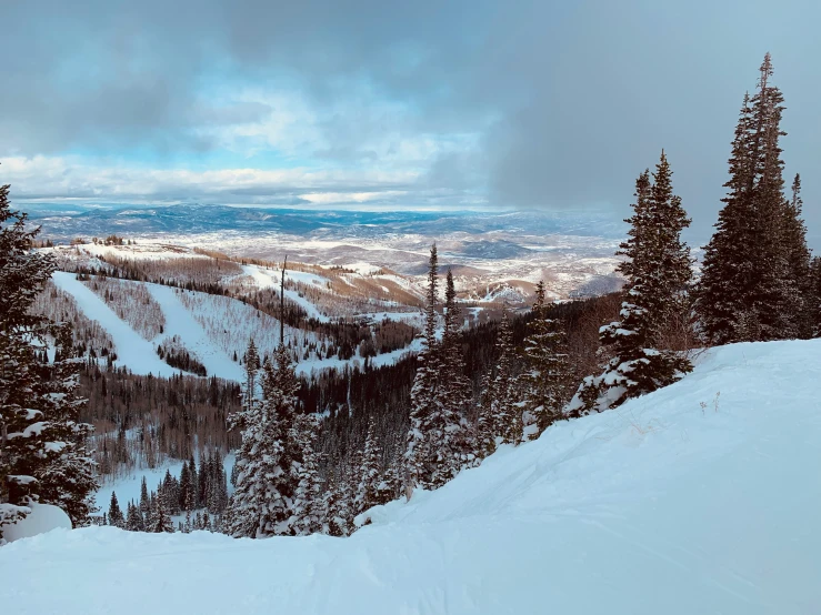 snow covered trees line a slope with clouds in the sky