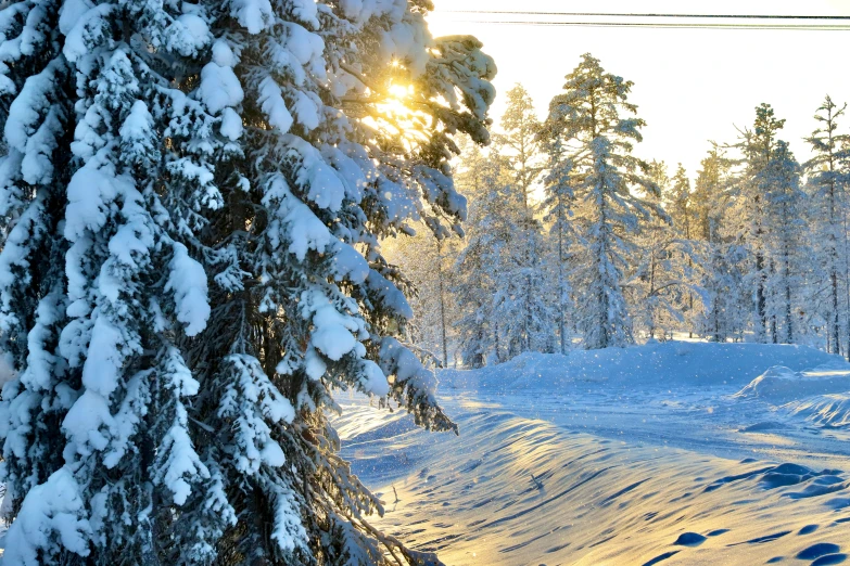 a person walking down the slope with snow on them