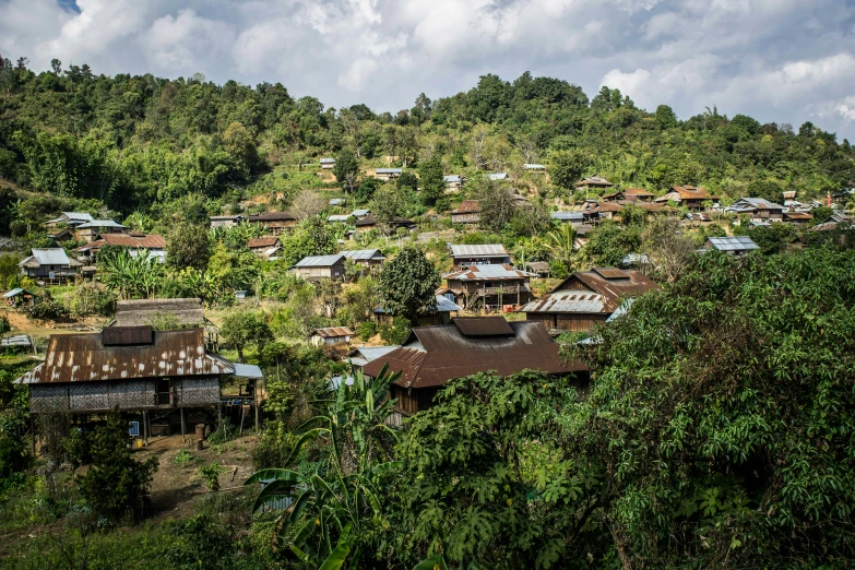 a group of huts sitting in the middle of a forest