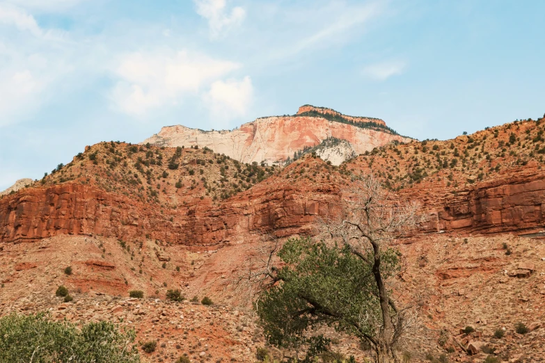 the mountain is red and brown with many trees on both sides