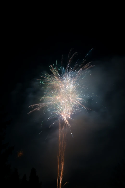 a firework exploding with dark sky in the background