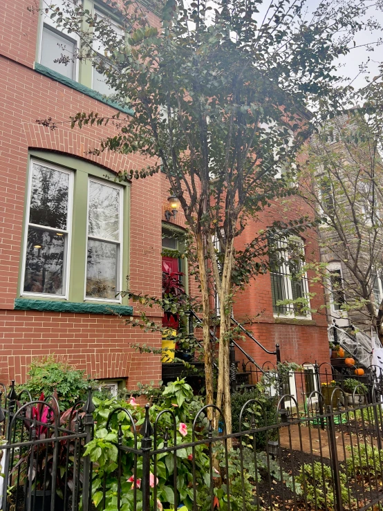 a tree in front of a brick building with a fence and a fence post