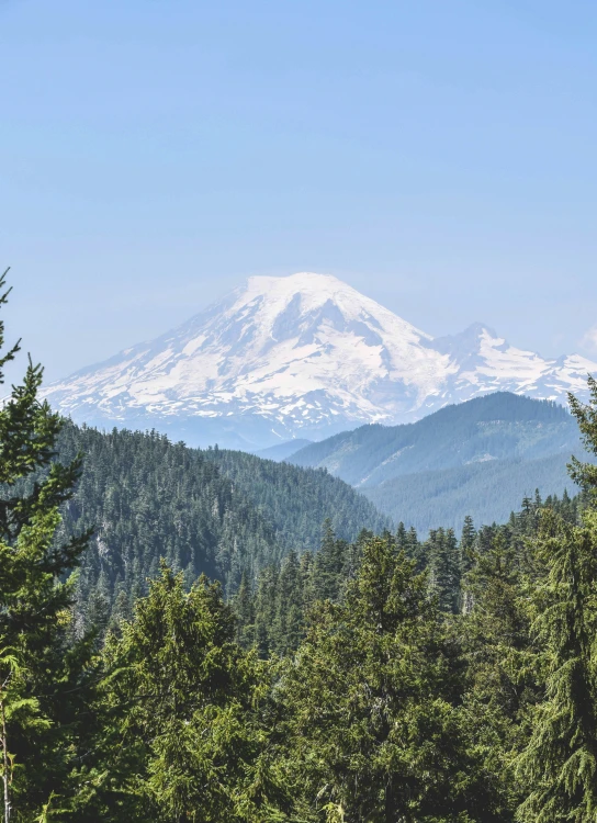 a mountain range as seen from above a forest