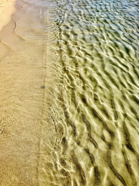 a beach is covered in sand and is next to the ocean