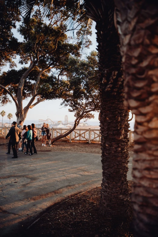 a group of people walking down a street next to tall trees