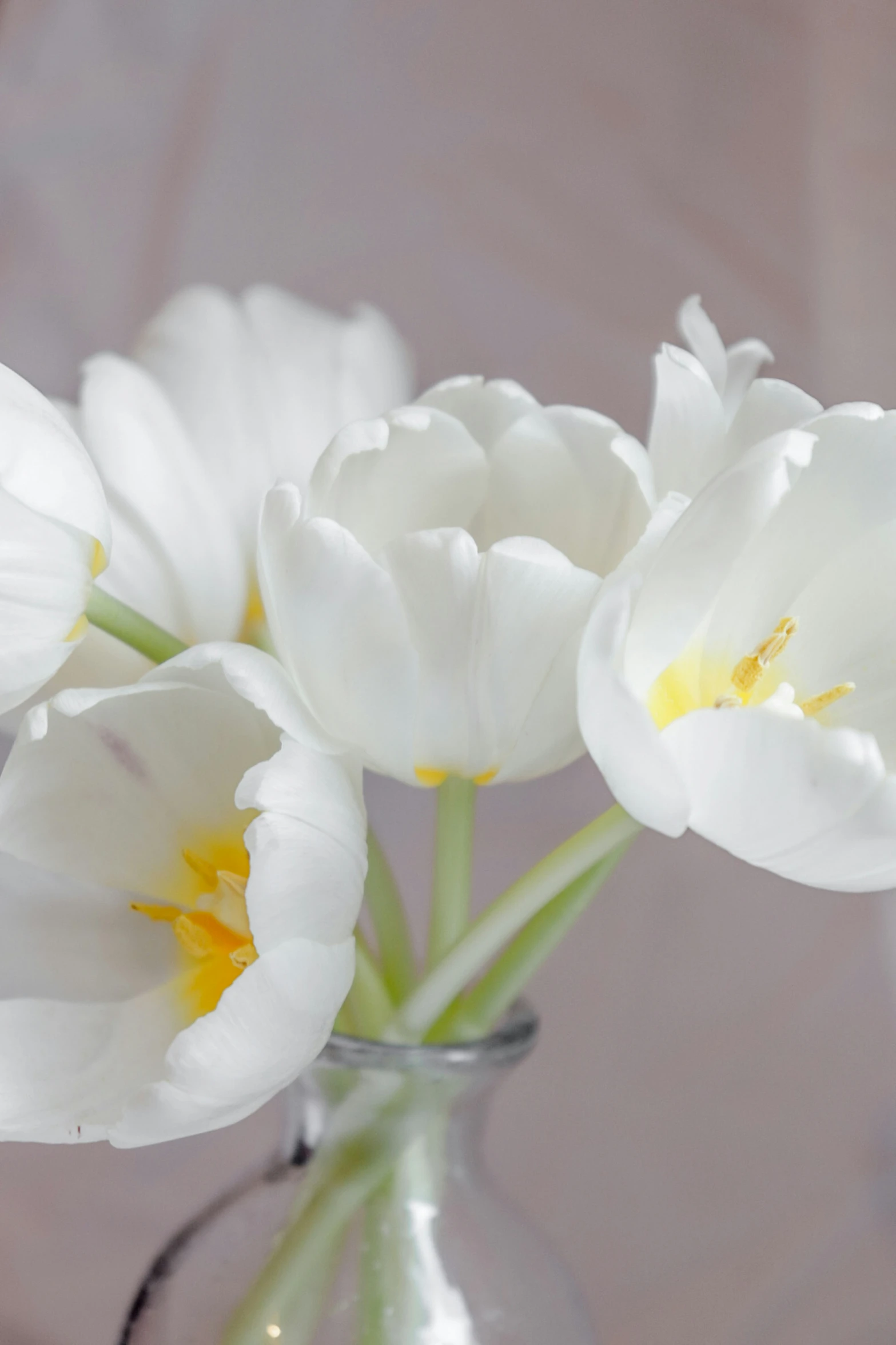 several white flowers are in a glass vase