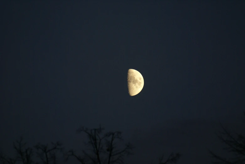 a very bright half moon shines in the sky