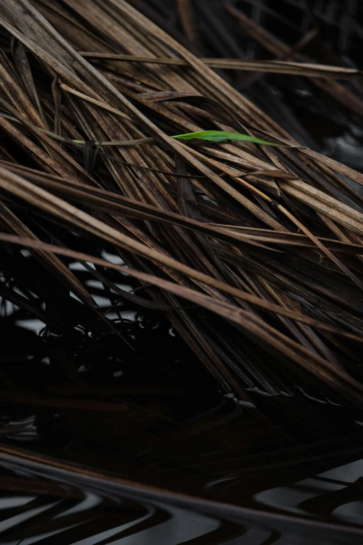 an abstract image of a small green toothbrush surrounded by water