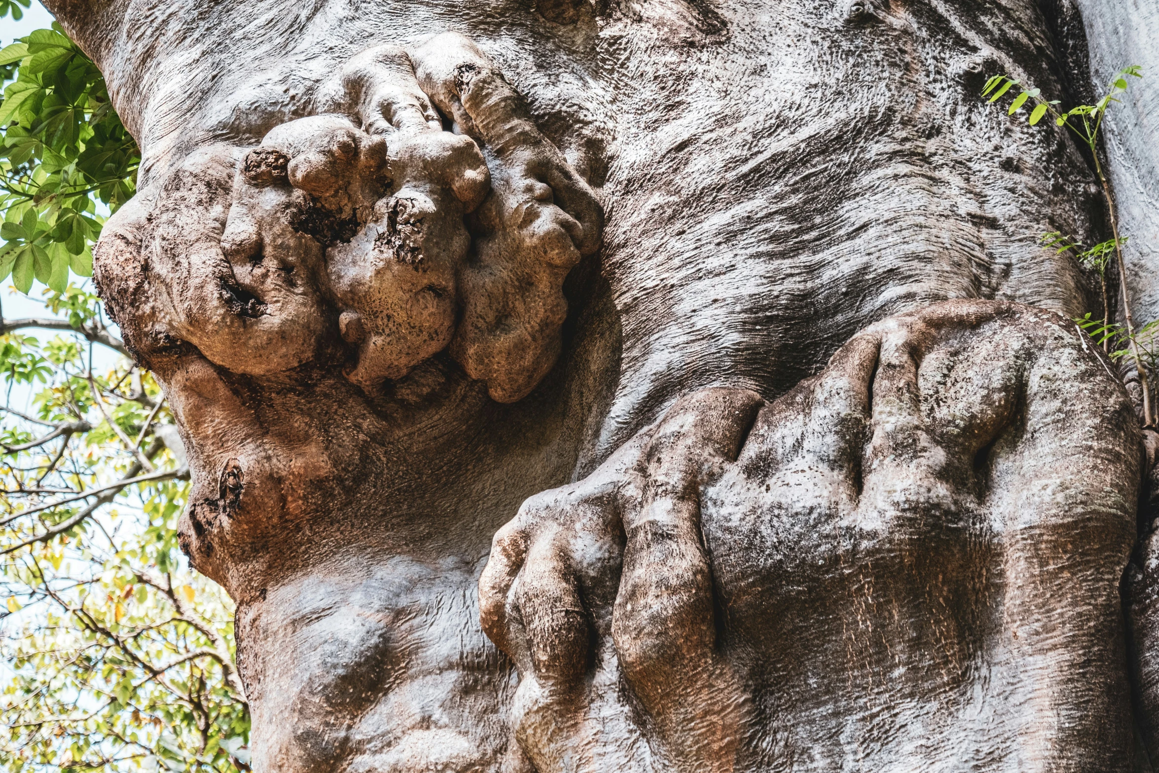 the tree is very detailed and has many paw holes