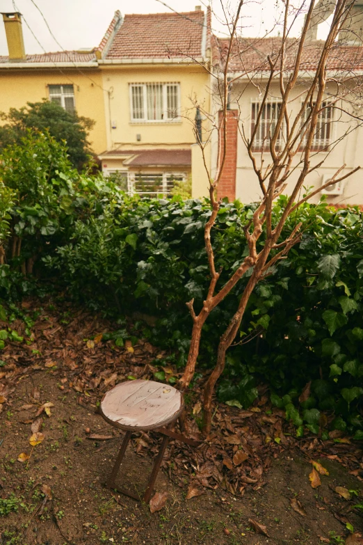 a wooden bench sitting next to a tree