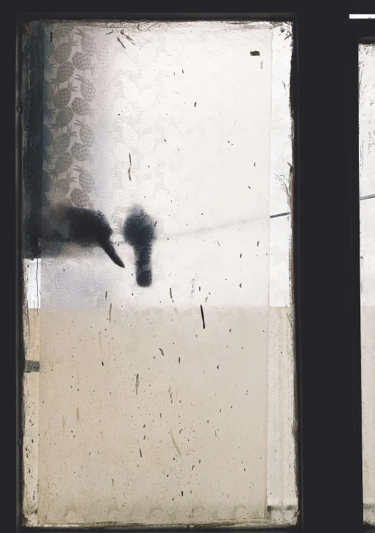 a window that is dirty and has a bird outside