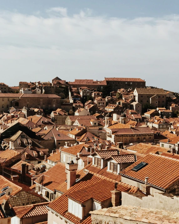 there is a very large amount of brown roof tops