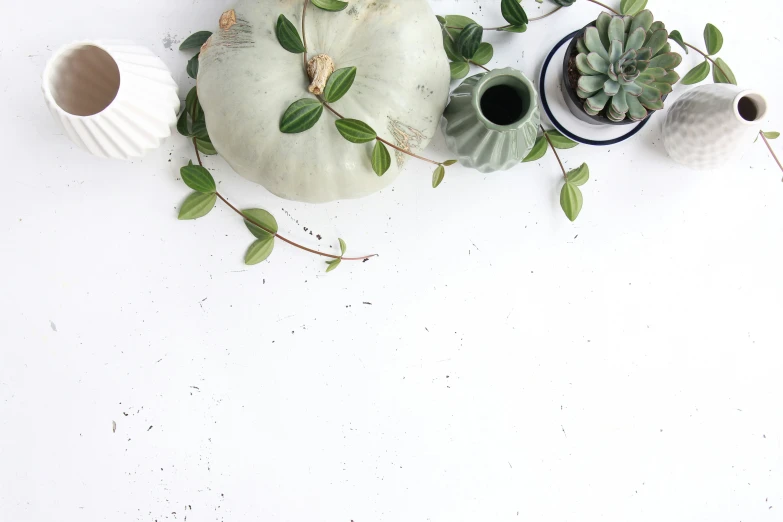 a close up of plants and potted animals on a white table