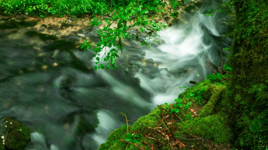 water flowing through an open area of land