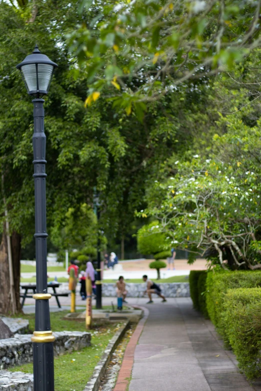 this is an image of people playing in the park