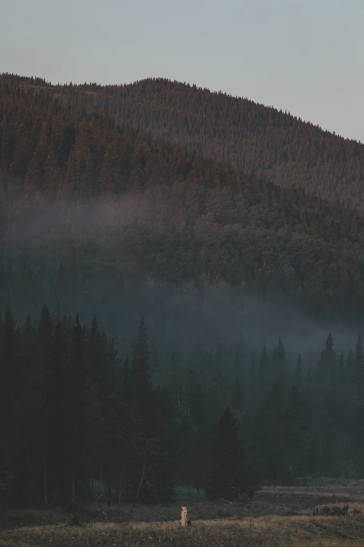 the mountains are covered in fog and low cloud