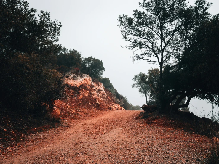 an empty dirt road with trees and rocks