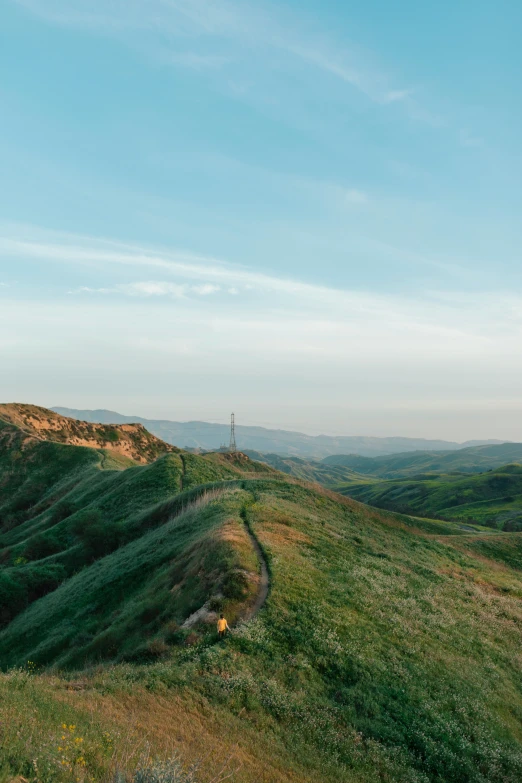 a hillside with a road that has vegetation growing on it