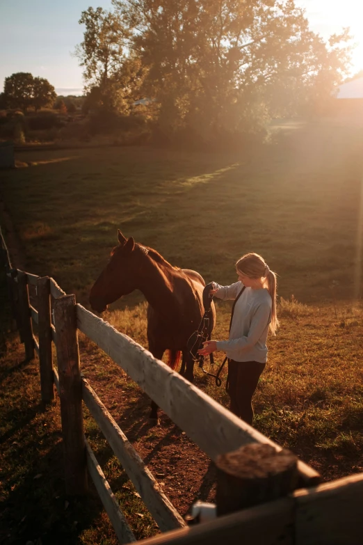 a young person petting a horse in a corral