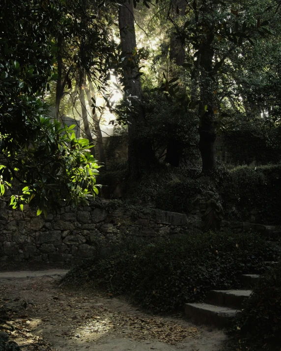 the steps lead up to the trees on a path