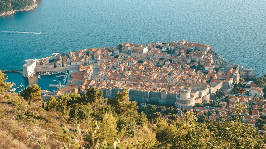 an aerial view of a small town, bay, and trees