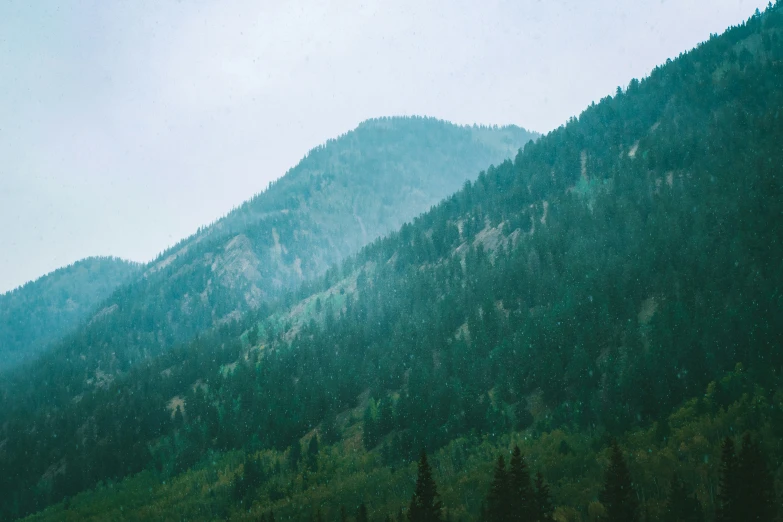 a green mountain has trees in the foreground