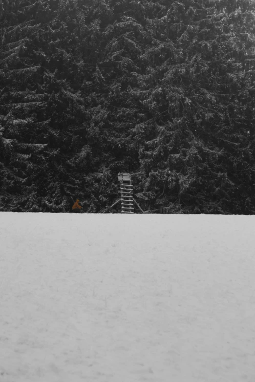 a man riding a snowboard down a snow covered slope