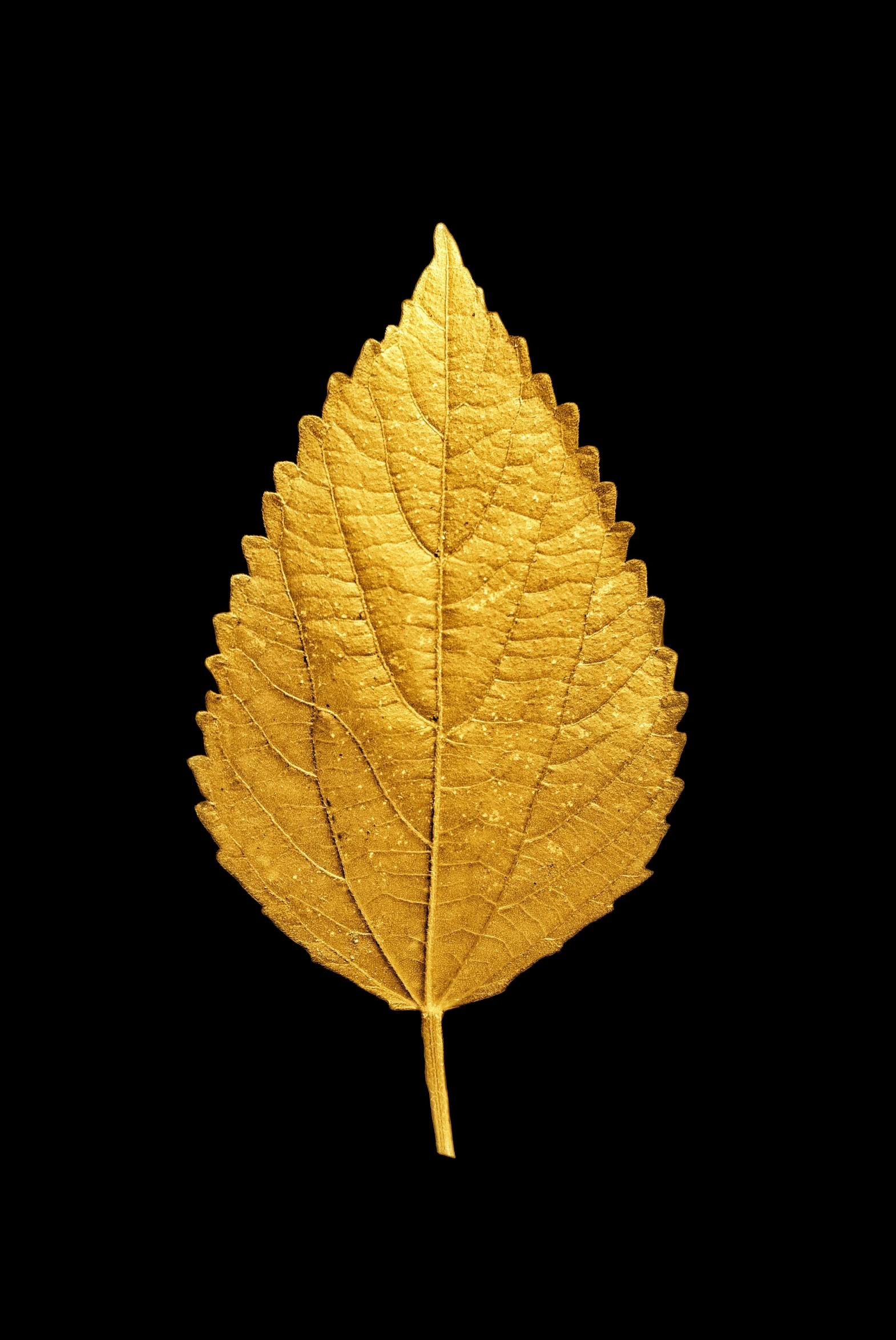 a large golden leaf is laying on its side