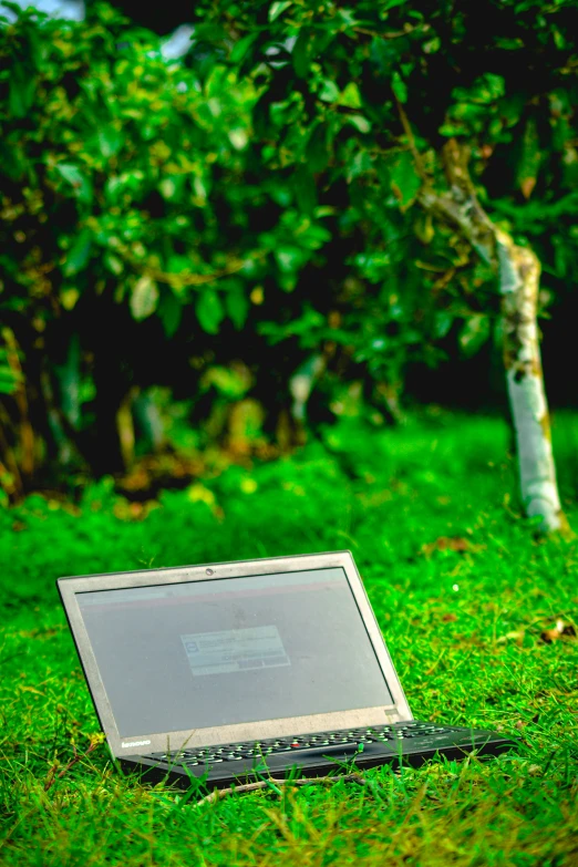an open laptop computer sits on a grassy field