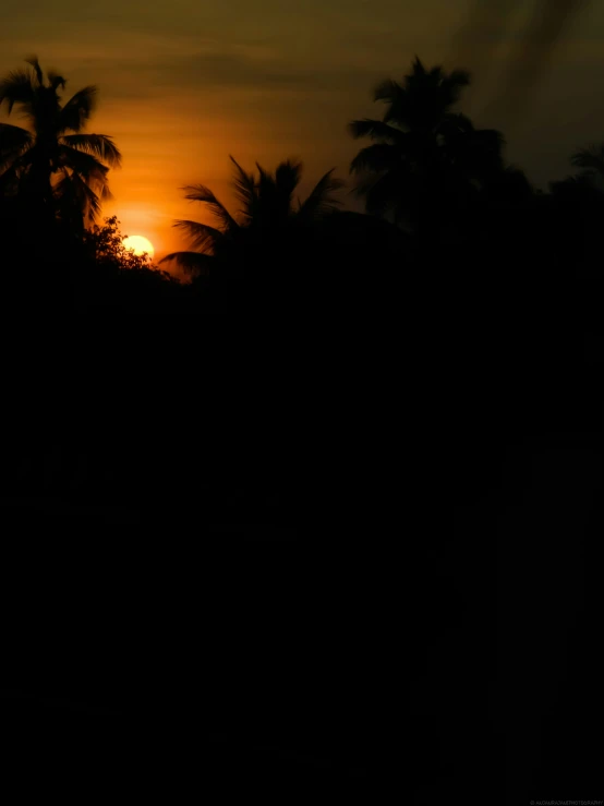 the sun setting behind a silhouette of trees