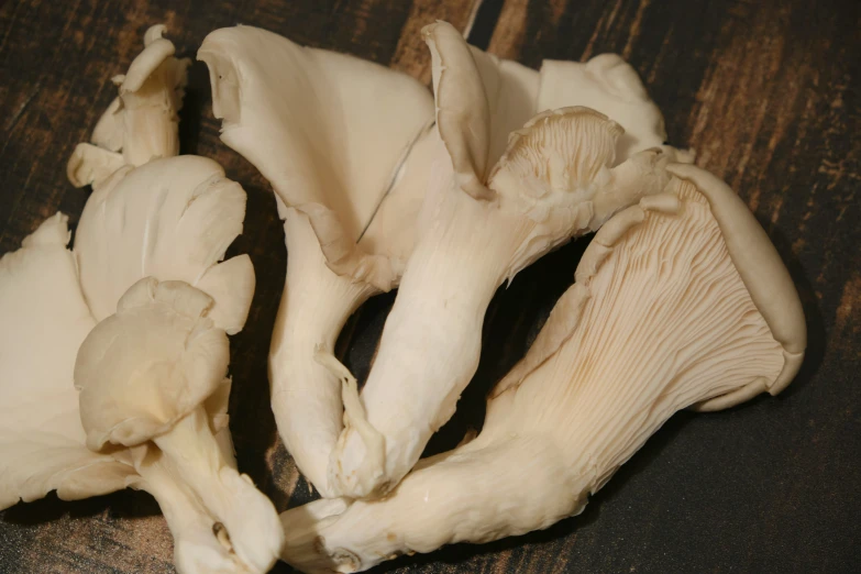 a close up of some white mushrooms on a wooden table