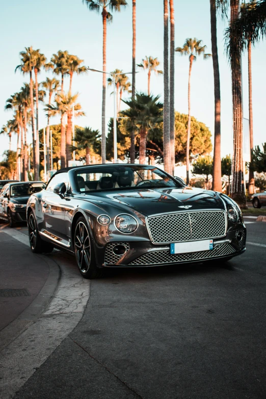 a car on a city street with palm trees in the background