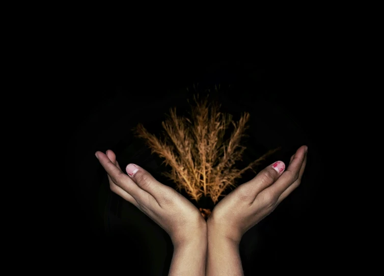 a person holding their hands up in front of a black background