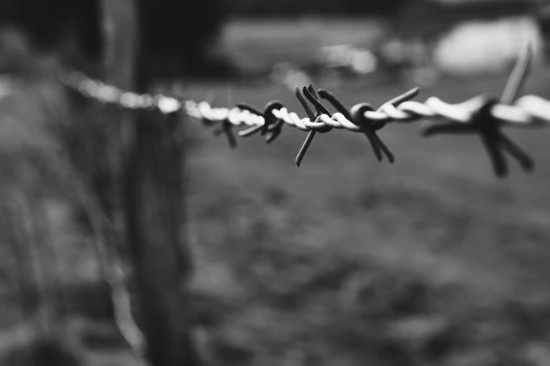 black and white image of barbed wire that looks like scissors