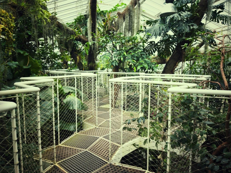 a close up view of the inside of an indoor plant house