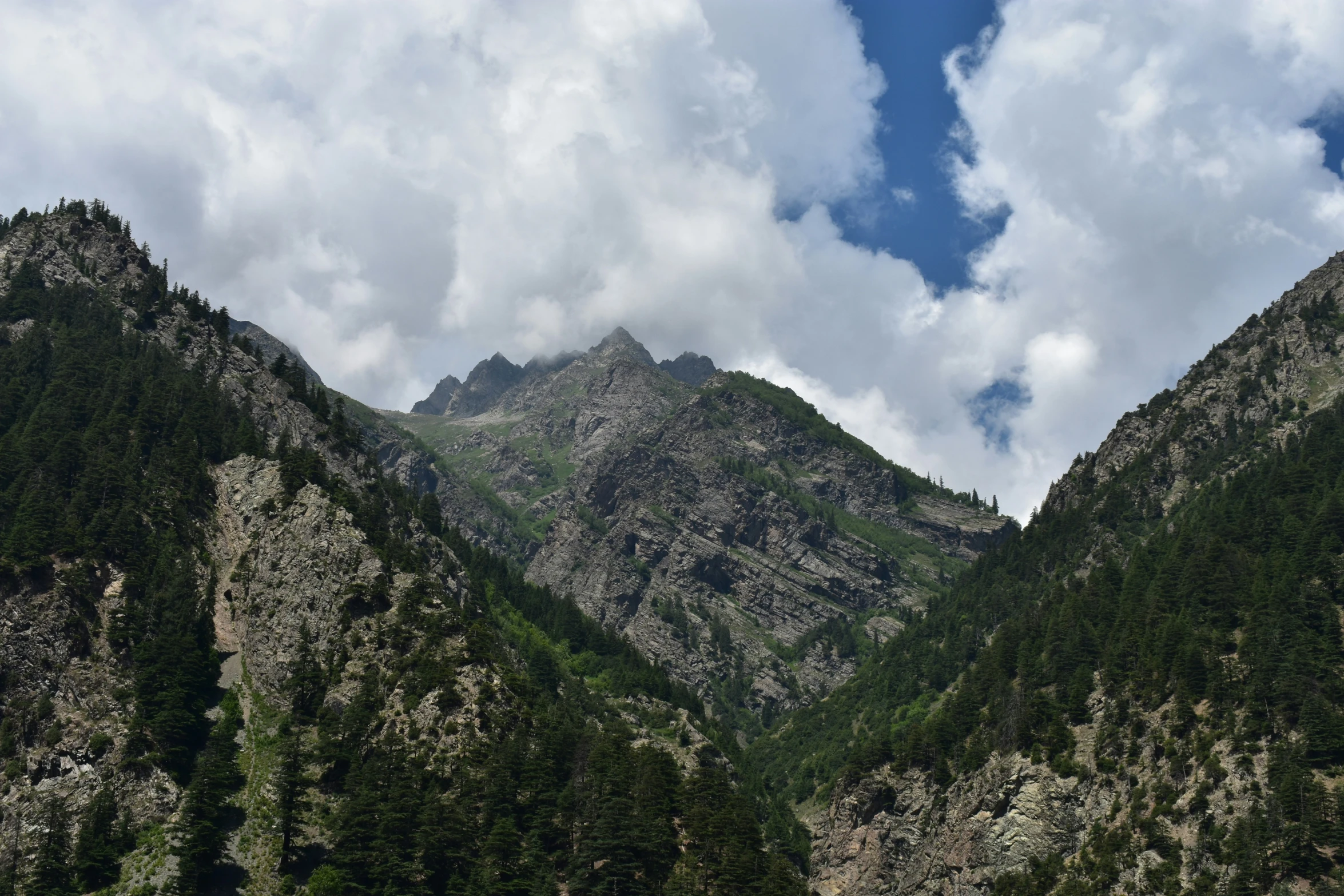 a mountain peak with green trees in the foreground